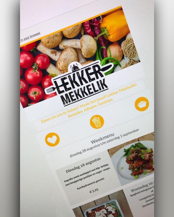 Lekker-mekkelik-nieuwsbrief-template
